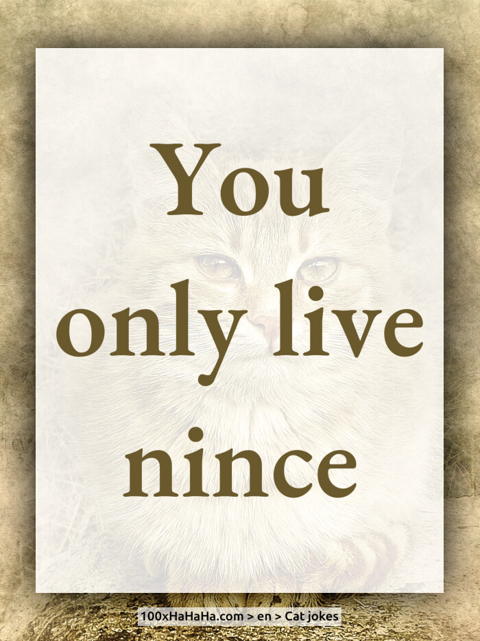 You only live nince