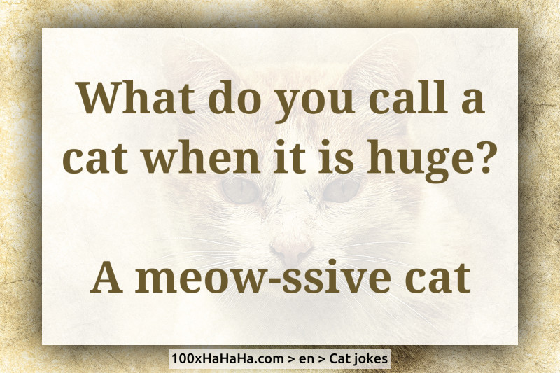 Cat joke+image What do you call a cat when it is huge? A meowssive cat