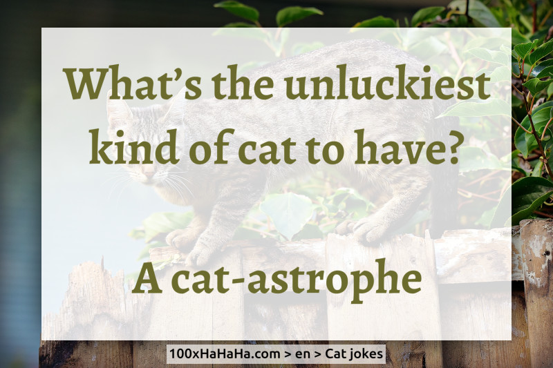What's the unluckiest kind of cat to have? / / A cat-astrophe
