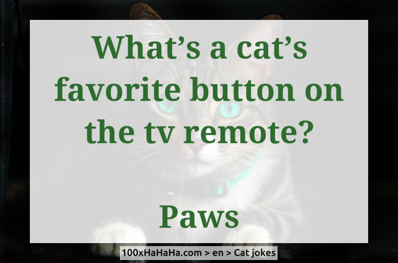 What's a cat's favorite button on the tv remote? / / Paws