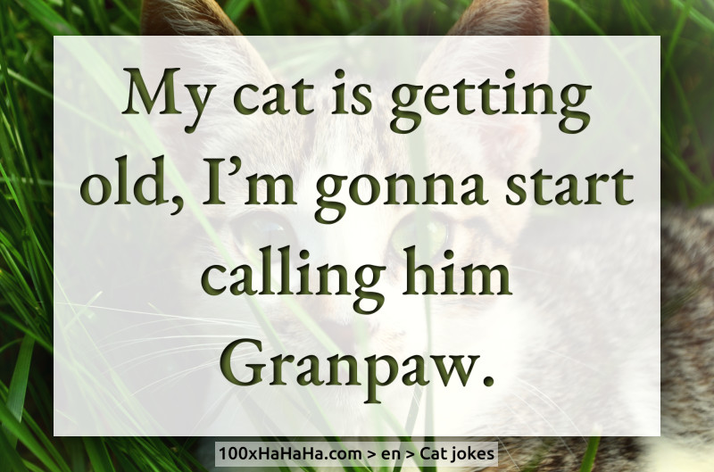 My cat is getting old, I'm gonna start calling him Granpaw.