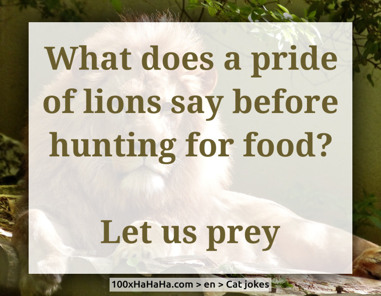 What does a pride of lions say before hunting for food? / / Let us prey