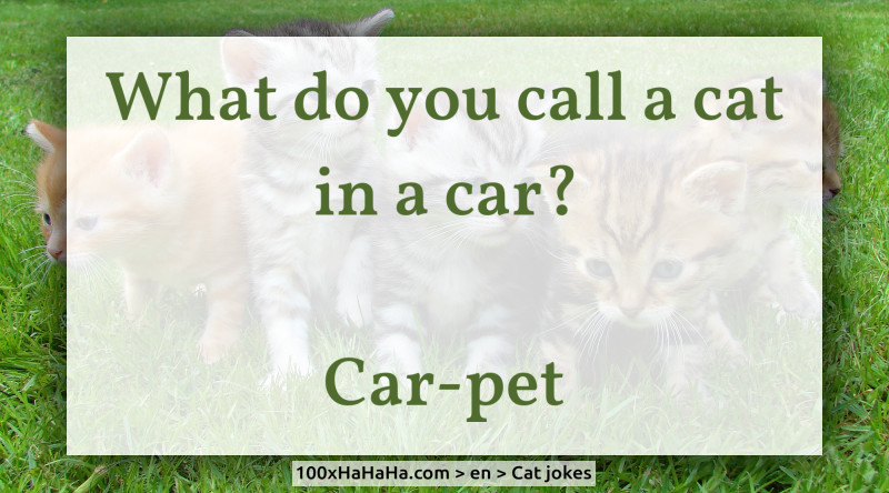 What do you call a cat in a car? / / Car-pet