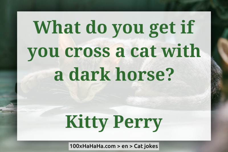 Cats in jokes What do you get if you cross a cat with a dark horse