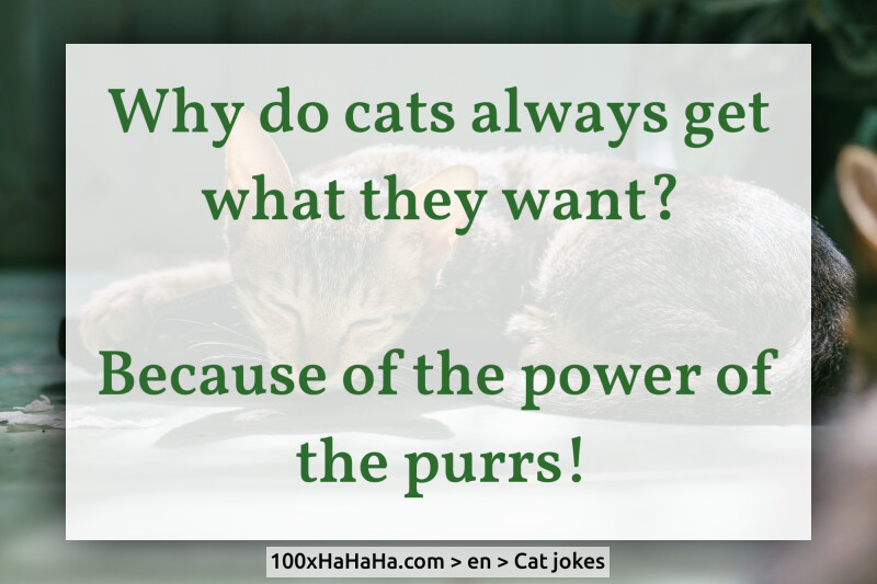 Why do cats always get what they want? / / Because of the power of the purrs!