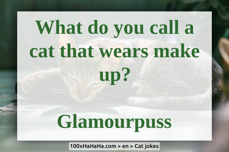 What do you call a cat that wears make up? / / Glamourpuss