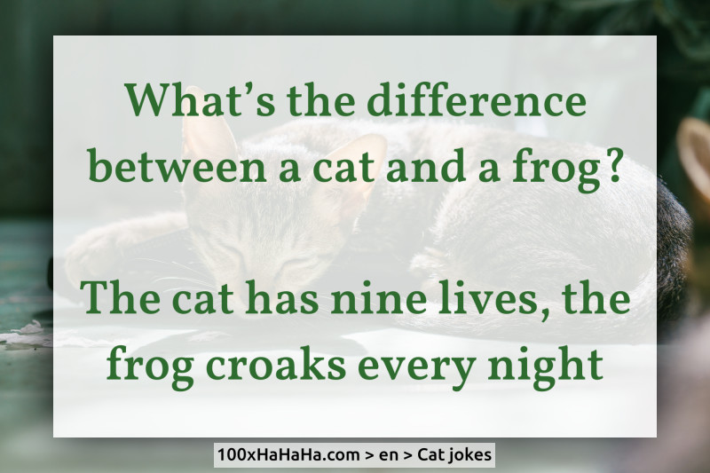 What's the difference between a cat and a frog? / / The cat has nine lives, the frog croaks every night