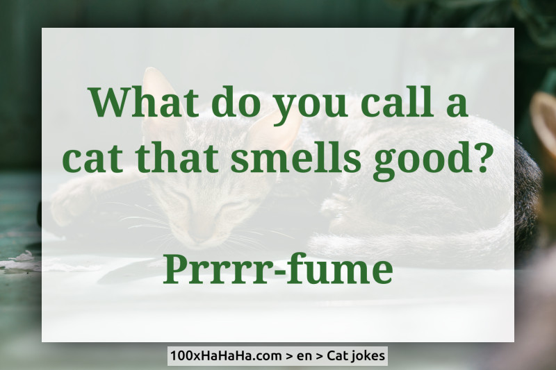 What do you call a cat that smells good? / / Prrrr-fume