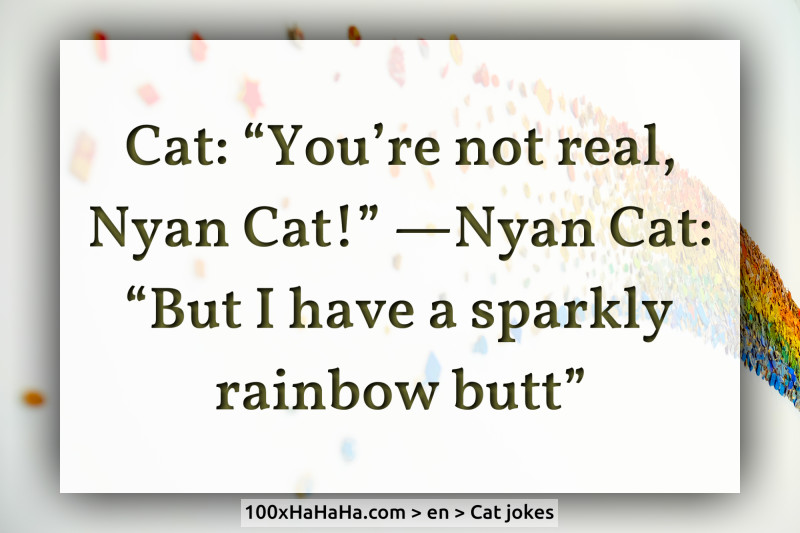 Cat: "You're not real, Nyan Cat!" —Nyan Cat: "But I have a sparkly rainbow butt"
