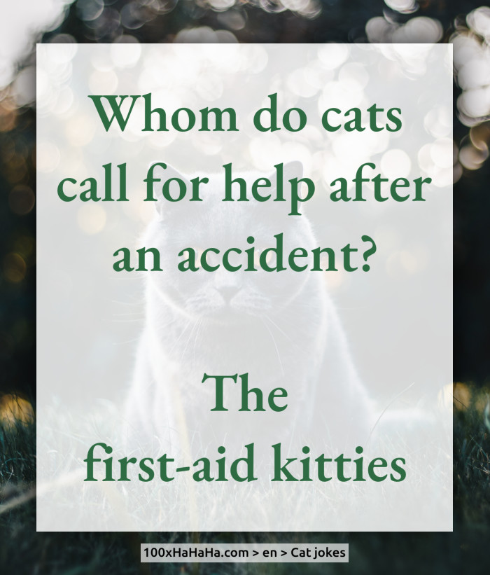 Whom do cats call for help after an accident? / / The first-aid kitties