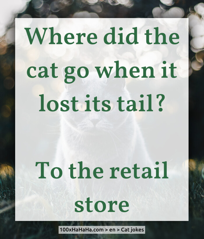 Where did the cat go when it lost its tail? / / To the retail store