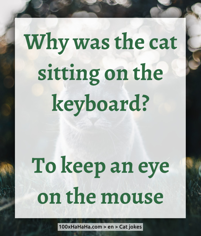 Why was the cat sitting on the keyboard? / / To keep an eye on the mouse