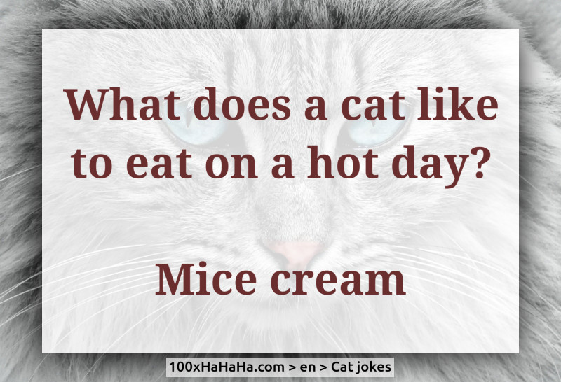 What does a cat like to eat on a hot day? / / Mice cream