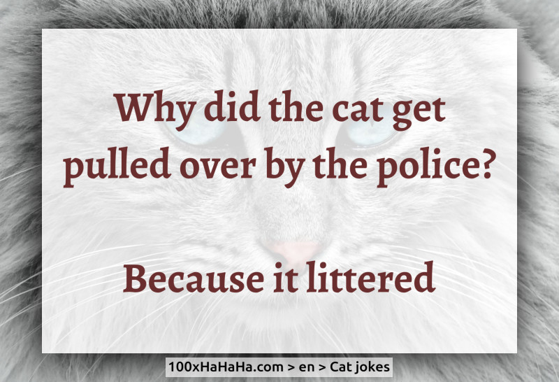 Why did the cat get pulled over by the police? / / Because it littered