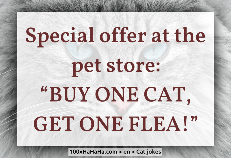 Special offer at the pet store: "BUY ONE CAT, GET ONE FLEA!"