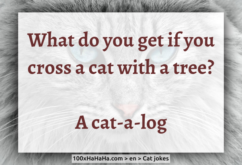 What do you get if you cross a cat with a tree? / / A cat-a-log