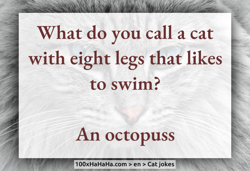What do you call a cat with eight legs that likes to swim? / / An octopuss