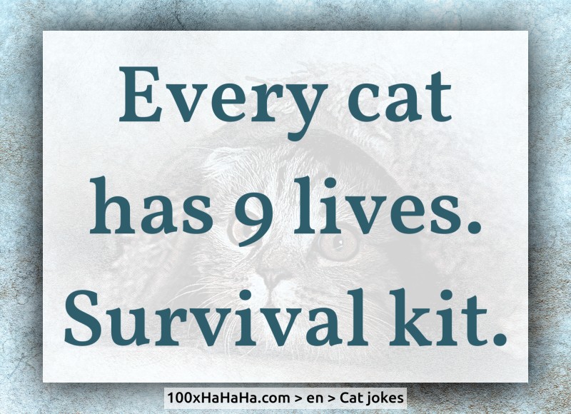 Every cat has 9 lives. Survival kit.