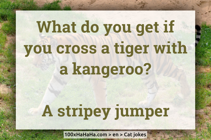 What do you get if you cross a tiger with a kangeroo? / / A stripey jumper