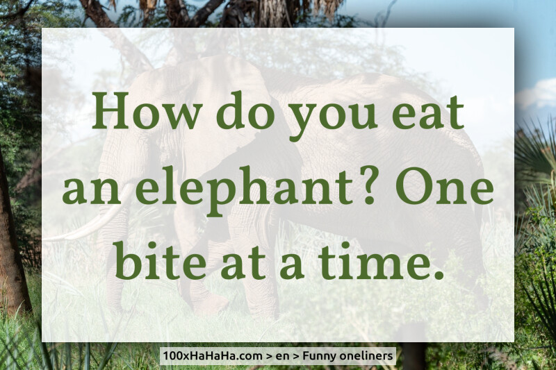 How do you eat an elephant? One bite at a time.