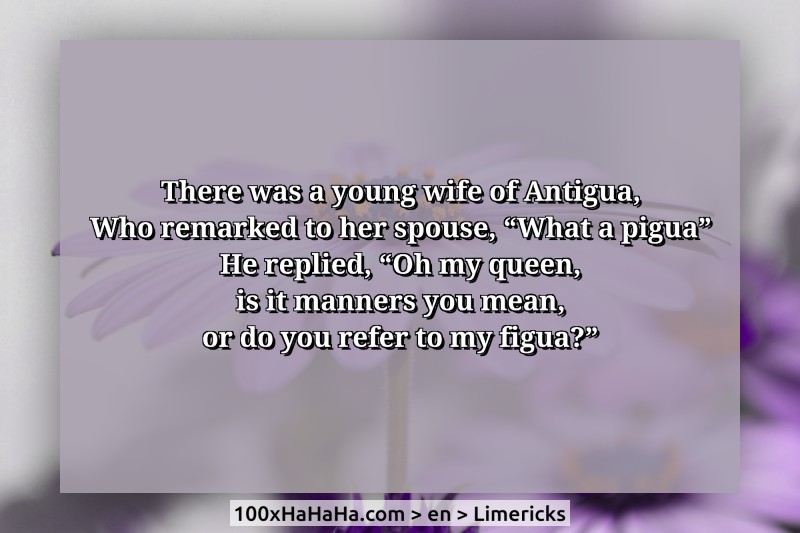 There was a young wife of Antigua, / Who remarked to her spouse, "What a pigua" / He replied, "Oh my queen, / is it manners you mean, / or do you refer to my figua?"