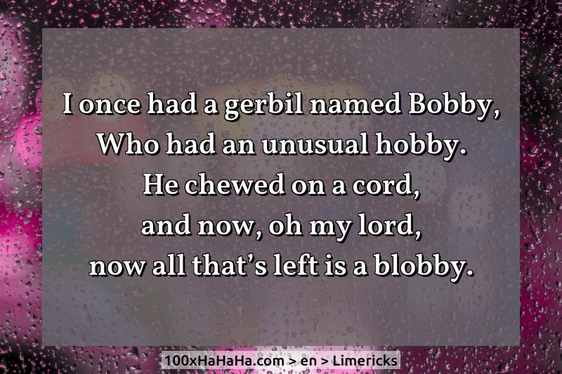 I once had a gerbil named Bobby, / Who had an unusual hobby. / He chewed on a cord, / and now, oh my lord, / now all that's left is a blobby.