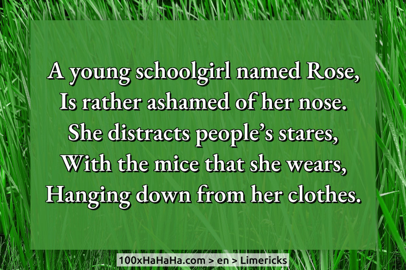 A young schoolgirl named Rose, / Is rather ashamed of her nose. / She distracts people's stares, / With the mice that she wears, / Hanging down from her clothes.
