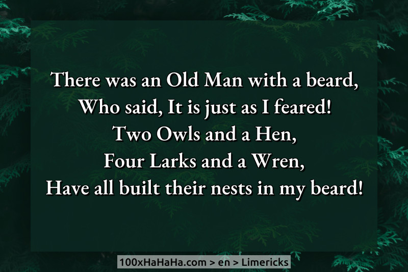 There was an Old Man with a beard, / Who said, It is just as I feared! / Two Owls and a Hen, / Four Larks and a Wren, / Have all built their nests in my beard!