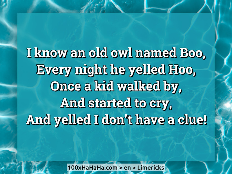 I know an old owl named Boo, / Every night he yelled Hoo, / Once a kid walked by, / And started to cry, / And yelled I don't have a clue!