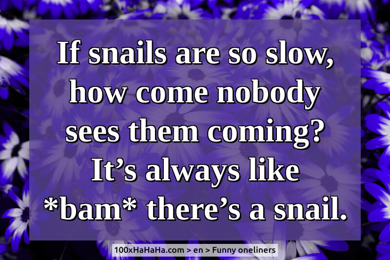 If snails are so slow, how come nobody sees them coming? It's always like *bam* there's a snail.