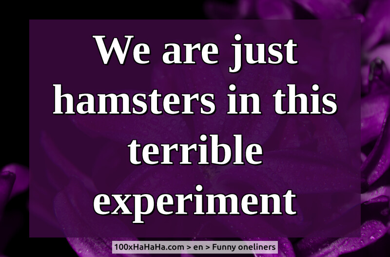 We are just hamsters in this terrible experiment