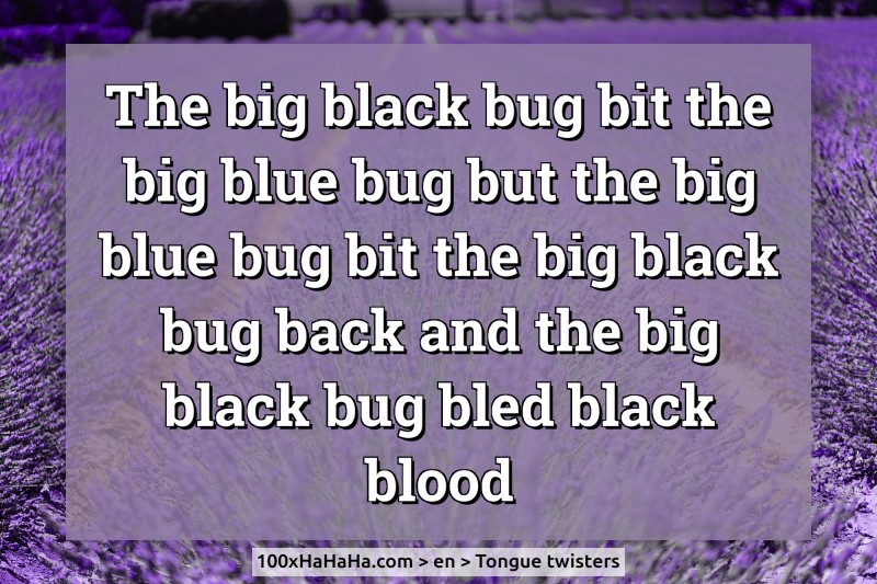 The big black bug bit the big blue bug but the big blue bug bit the big black bug back and the big black bug bled black blood