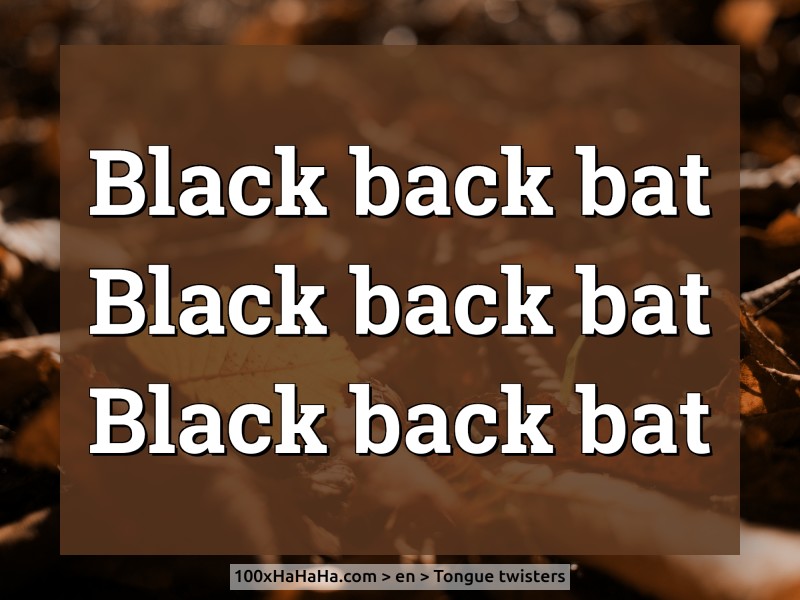 Black back bat / Black back bat / Black back bat
