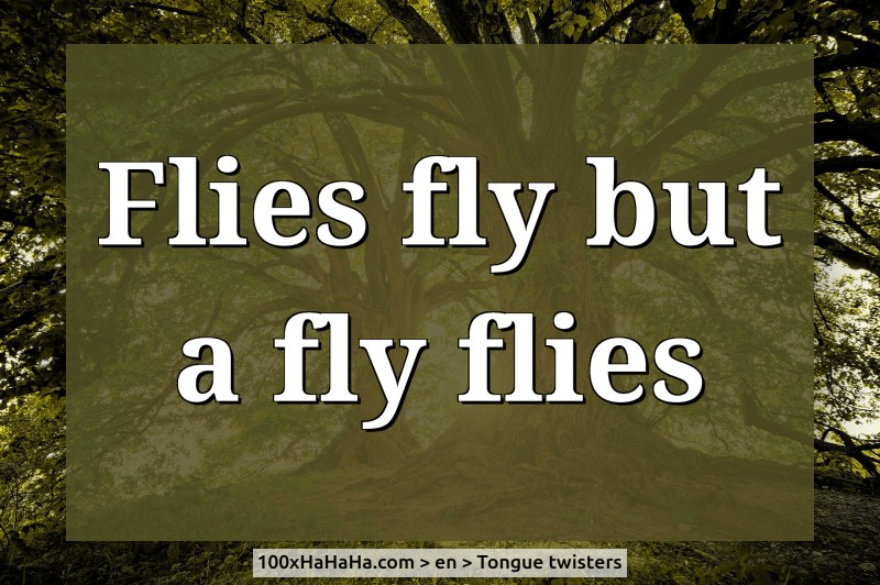 Flies fly but a fly flies