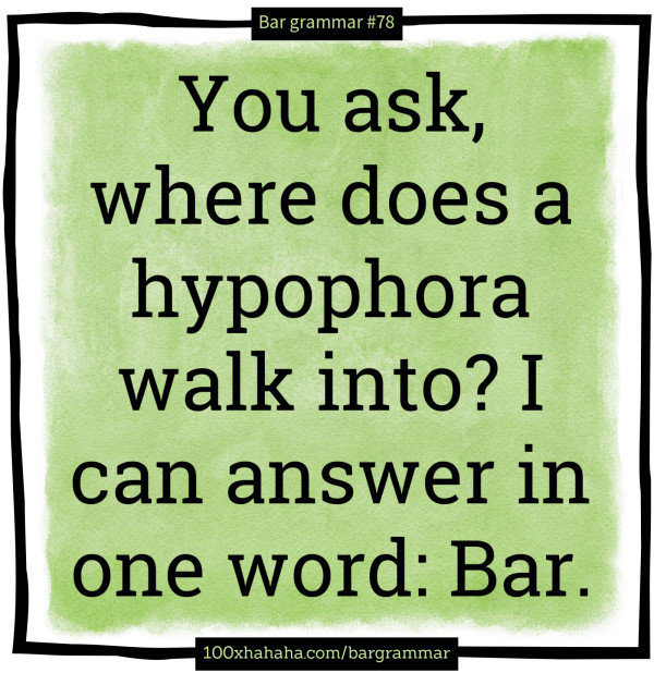 You ask, where does a hypophora walk into? I can answer in one word: Bar.