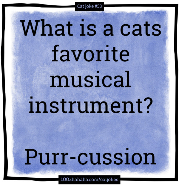 What is a cats favorite musical instrument? / / Purr-cussion