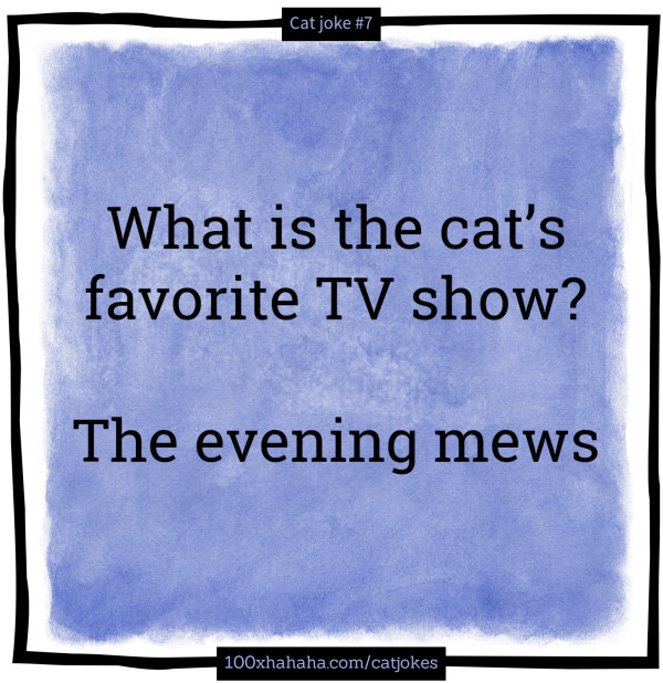 What is the cat's favorite TV show? / / The evening mews