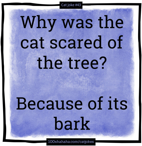 Why was the cat scared of the tree? / / Because of its bark