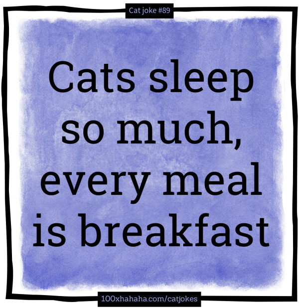 Cats sleep so much, every meal is breakfast
