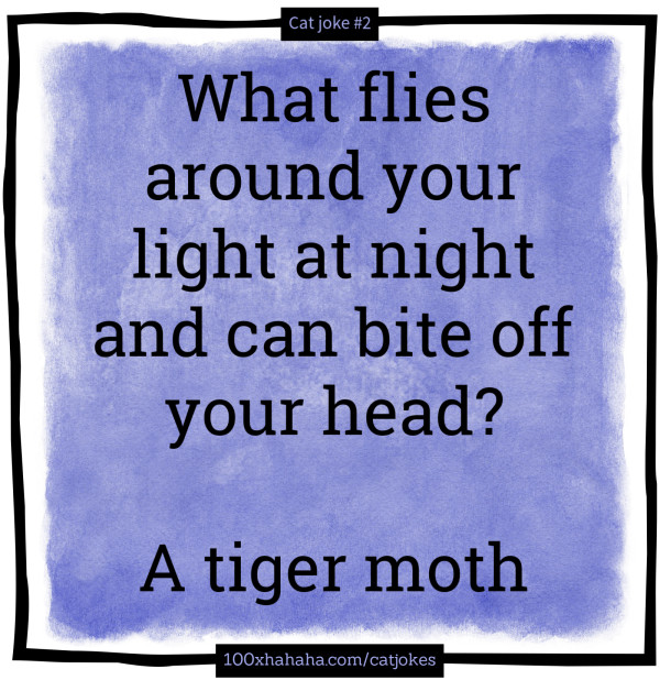 What flies around your light at night and can bite off your head? / / A tiger moth