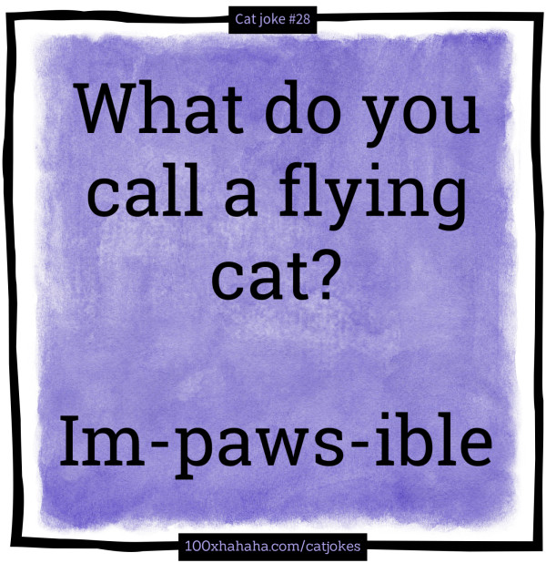 What do you call a flying cat? / / Im-paws-ible