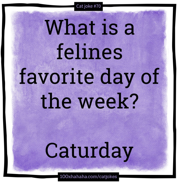 What is a felines favorite day of the week? / / Caturday