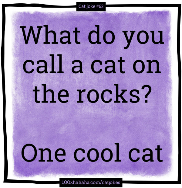 What do you call a cat on the rocks? / / One cool cat