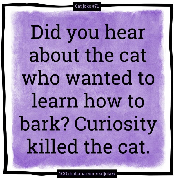 Did you hear about the cat who wanted to learn how to bark? Curiosity killed the cat.