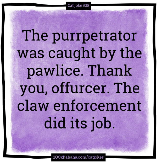 The purrpetrator was caught by the pawlice. Thank you, offurcer. The claw enforcement did its job.