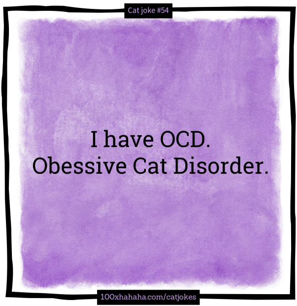 I have OCD. Obessive Cat Disorder.