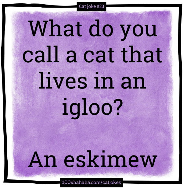 What do you call a cat that lives in an igloo? / / An eskimew