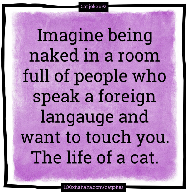 Imagine being naked in a room full of people who speak a foreign langauge and want to touch you. The life of a cat.