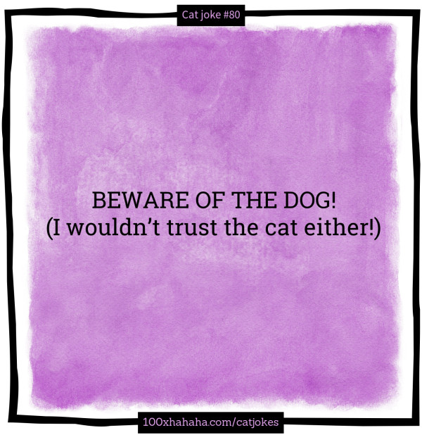 BEWARE OF THE DOG! / (I wouldn't trust the cat either!)
