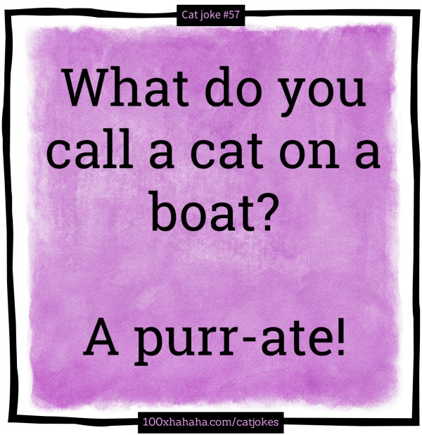 What do you call a cat on a boat? / / A purr-ate!